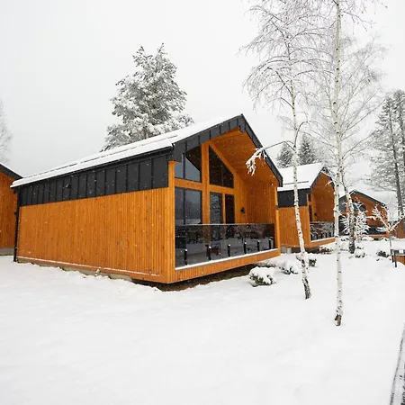 Phoenix Medical * Skhidnytsia