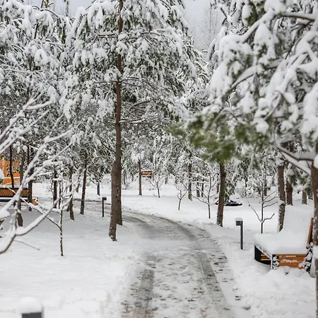 Phoenix Medical 리조트