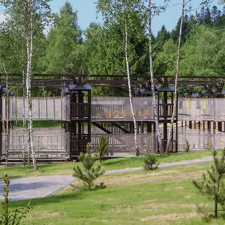 Phoenix Medical * Skhidnytsia