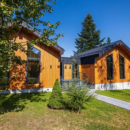 Phoenix Medical Skhidnytsia