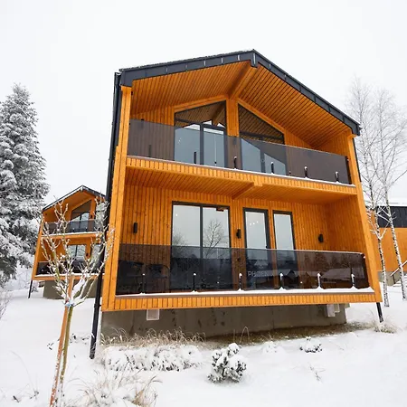 Phoenix Medical * Skhidnytsia